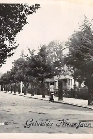 Dordrecht Hallincqlaan 1939 Gelukkig Nieuwjaar HC14899 Niska cena