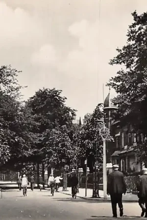 Dordrecht Oranjelaan HC14886 Oryginalny