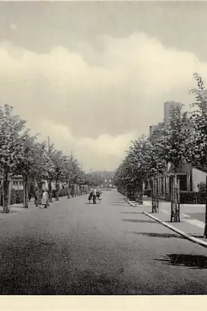 Tani Dordrecht Willem Mariastraat HC14866