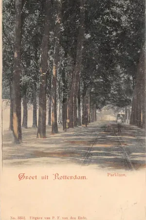 Rotterdam Parklaan HC14488 Premium