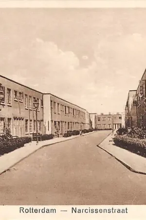 Rotterdam Narcissenstraat HC14189 Zamów teraz