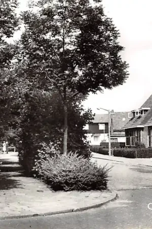 Oude Tonge Willemstraat HC13561 Rabat