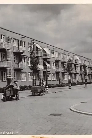 Rotterdam Zuid Amelandschestraat HC13359 Tani