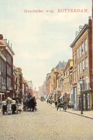 Tani Rotterdam Goudscheweg HC12701