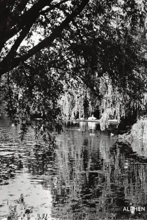 Kup teraz Alphen aan den Rijn Vijver Bospark 1968 HC9633