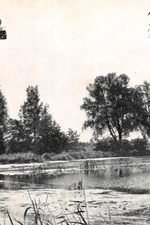 Ostatnia szansa Alphen aan den Rijn De Kromme Aar HC9628