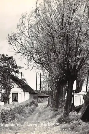 Woubrugge Weteringspad met Hoeve Verboom 1960 HC8842 Wyprzedaż