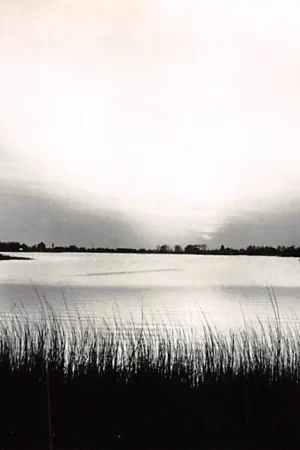 Reeuwijk Zonsondergang op de Reeuwijkse Plassen 1960 HC7695 Premium