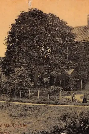 Tani Zwammerdam Groet uit .. Bodegraven HC5625