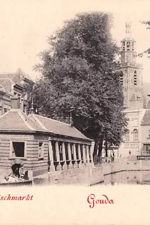 Szybka dostawa Gouda Hooge Gouwe en Vischmarkt HC2957