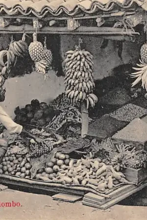 Autentyczny Sri Lanka Ceylon Colombo Native fruit stall Azië HC61455