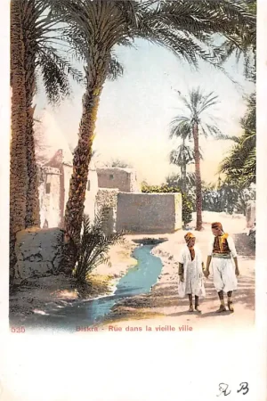Algerije Biskra Rue dans la vieille ville 1902 Alger Algeria Afrika HC60416 Autentyczny