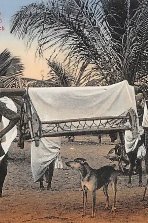 Zamów teraz 's-Hertgenbosch Missie der Zusters v.h. Gez. J.M.J. Mariënberg 1917 Hoe de zieken bij de zuster worden gebracht India of Nederlands-Indië Azië HC60247