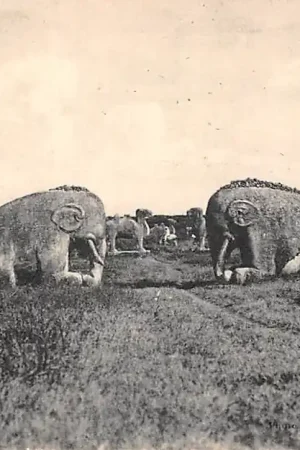 Tani China Ming Tomes Azië HC55824