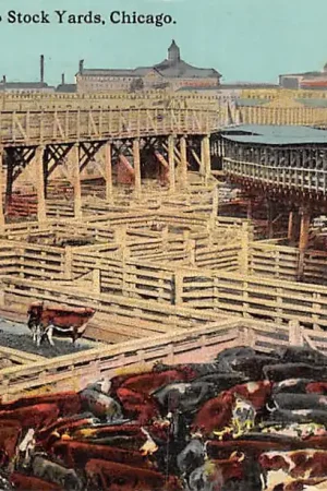 Szybka dostawa USA Chicago 1913 Bird's Eye View Chicago Stock Yards Vlees verwerkingsdistrict Koeien Noord-Amerika America HC55124