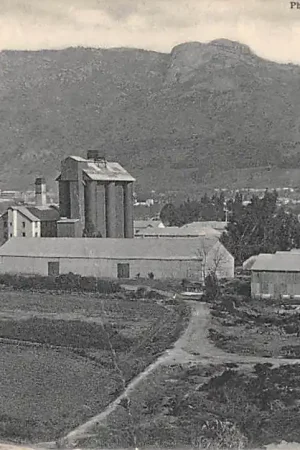 Autentyczny Zuid-Afrika Paarl Section 1 South Africa Afrika 1907 HC52576