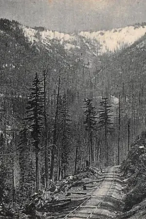 USA Seattle Washington On the Great Northern R.R. near Scenic, shouwing 3 tracks Noord-Amerika America HC51146 Szybka dostawa