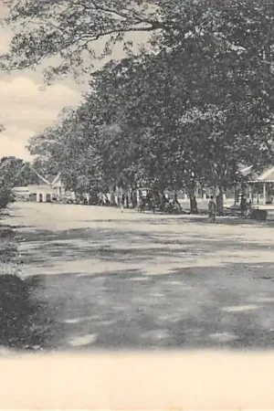 Premium Nederlands-Indië Bondowoso Aloen-aloen Magelang Java Indonesië Indonesia Azië HC40522