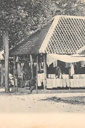 Kup teraz Nederlands-Indië Djember Passerloods Java Indonesia Indonesië Azië HC40526