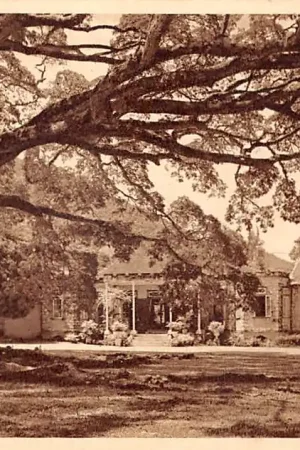 Tani Trinidad B.W.I. Country Club Zuid-Amerika HC35068