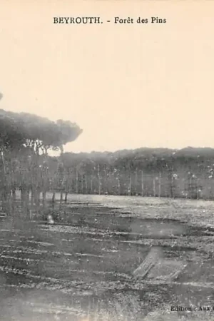 Nowość Libanon Beyrouth Foret des Pins Beirut Lebanon Azië HC34858