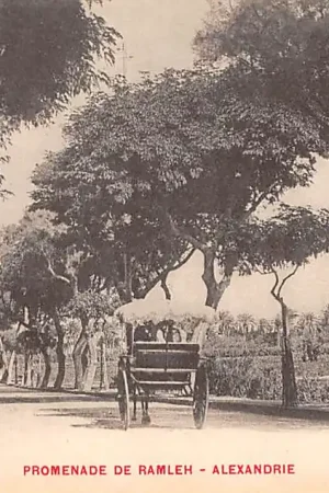 Wyprzedaż Egypte Alexandrië Square Promenade de Ramleh Egypt Afrika HC34839