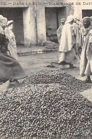 Wysoka jakość Algerije Alger Scenes et Types Dans le Sud Marchands de Dattes Afrika HC33763