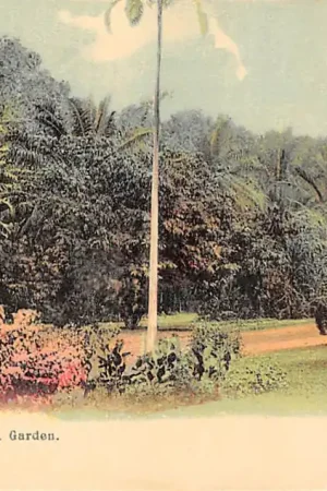 Kup teraz Singapore Botanic Garden 1900 Azië HC31509