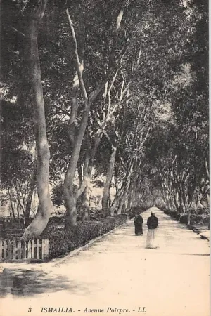 Egypte Ismaïlia Avenue Poirpre Egypt Afrika HC21781 Szybka dostawa