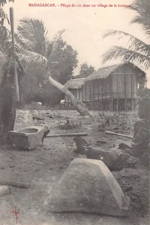 Popularny Madagascar Pilage du riz dans un village de la brousse Afrika HC16569