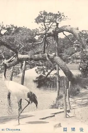 Japan Korakuyen at Okayama Nippon Azië HC7448 Niska cena