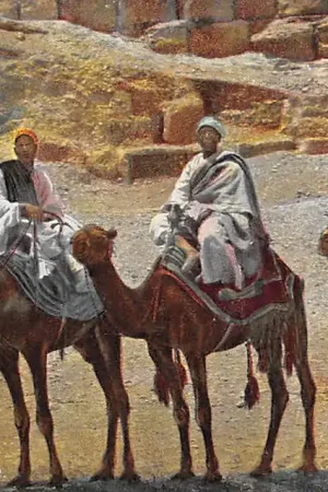 Wysoka jakość Egypte Beduin en voyage Bedoeïenen op reis met kamelen Egypt Afrika HC7403