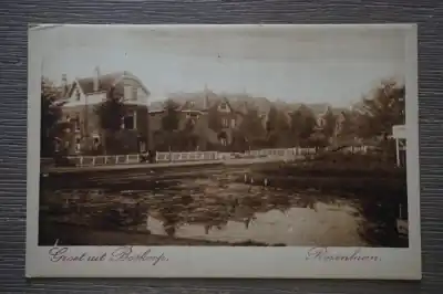 Boskoop Rozenlaan Wysoka jakość