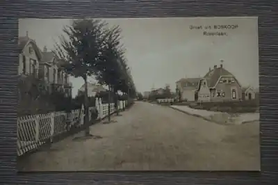 Tani Boskoop Rozenlaan