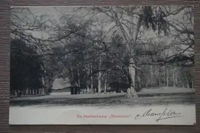 Rabat Brummen Hertenkamp