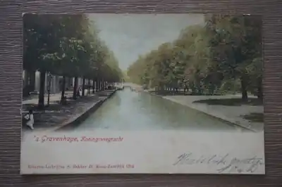 Den Haag Koninginnegracht Kup teraz