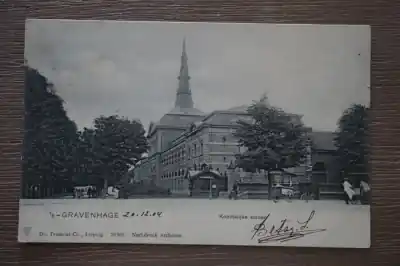 Den Haag Koninklijke Stallen Kup teraz