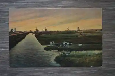 Zaanstreek koeien Zwrot pieniędzy