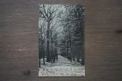 Wysoka jakość Groningen Sterrenbosch