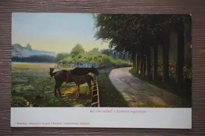 Bloemendaal Zomerzorgerlaan Tylko dziś