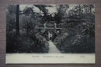 Baarn Bruggetje in het park Premium