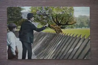 Den Haag Hertenkamp Zwrot pieniędzy