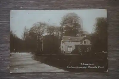 Den Haag Boschwachterswoning Haagsche Bosch Niska cena