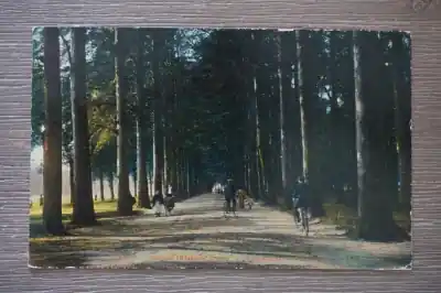 Kup teraz Den Haag Boorlaan