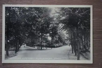 Ermelo Tweesprong Horsterweg Wilhelminalaan Wysoka jakość