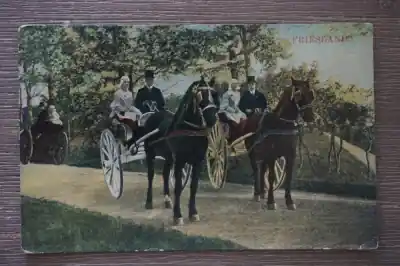 Oferta limitowana Friesland Paard en Wagen