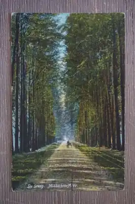 Autentyczny De SteegMiddachter Allee