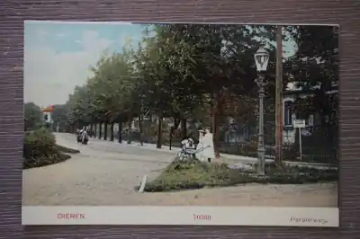 Autentyczny Dieren Paralelweg