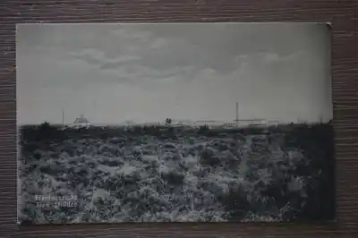 Premium Den Dolder Heidegezicht