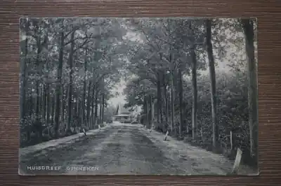 Ginneken Huisdreef Wyprzedaż